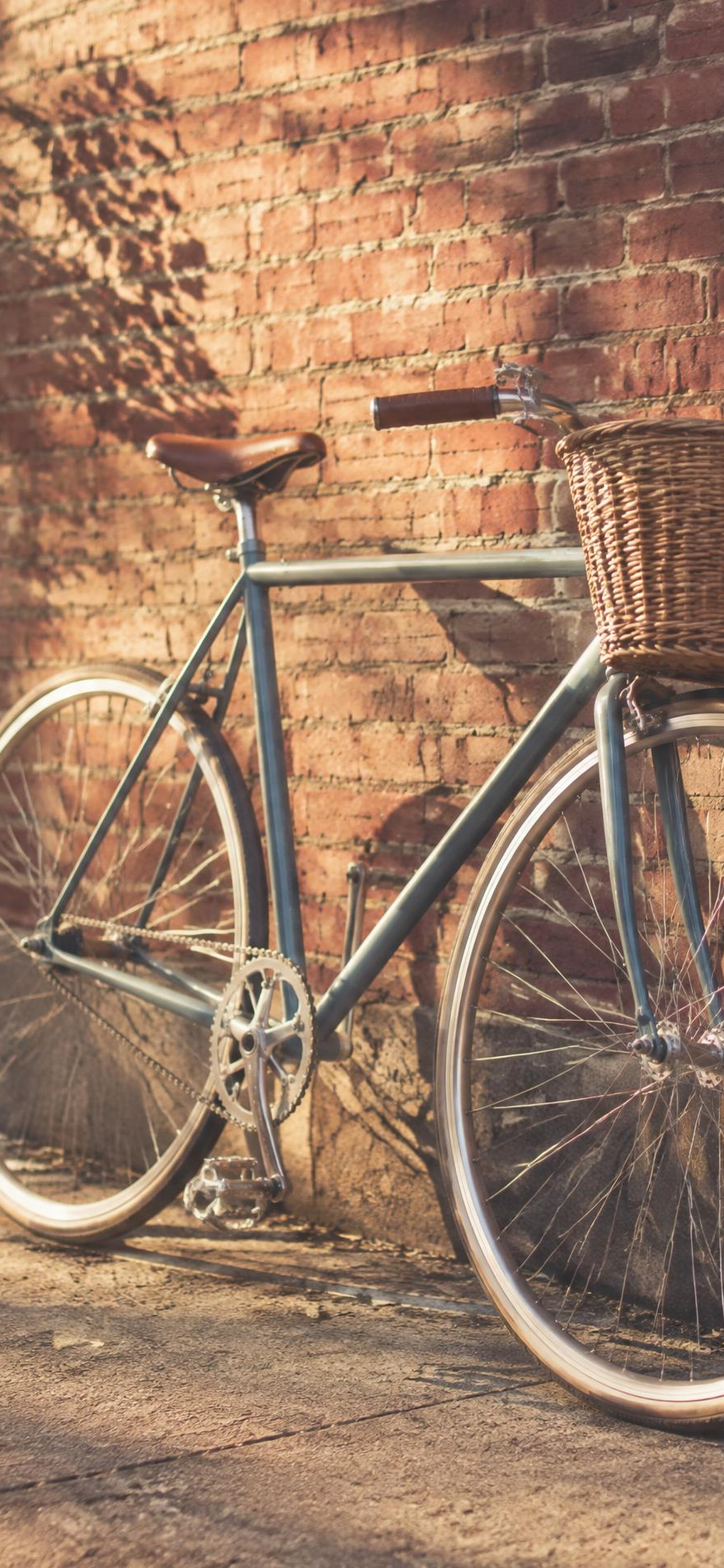 Sunday Ride — phone wallpaper