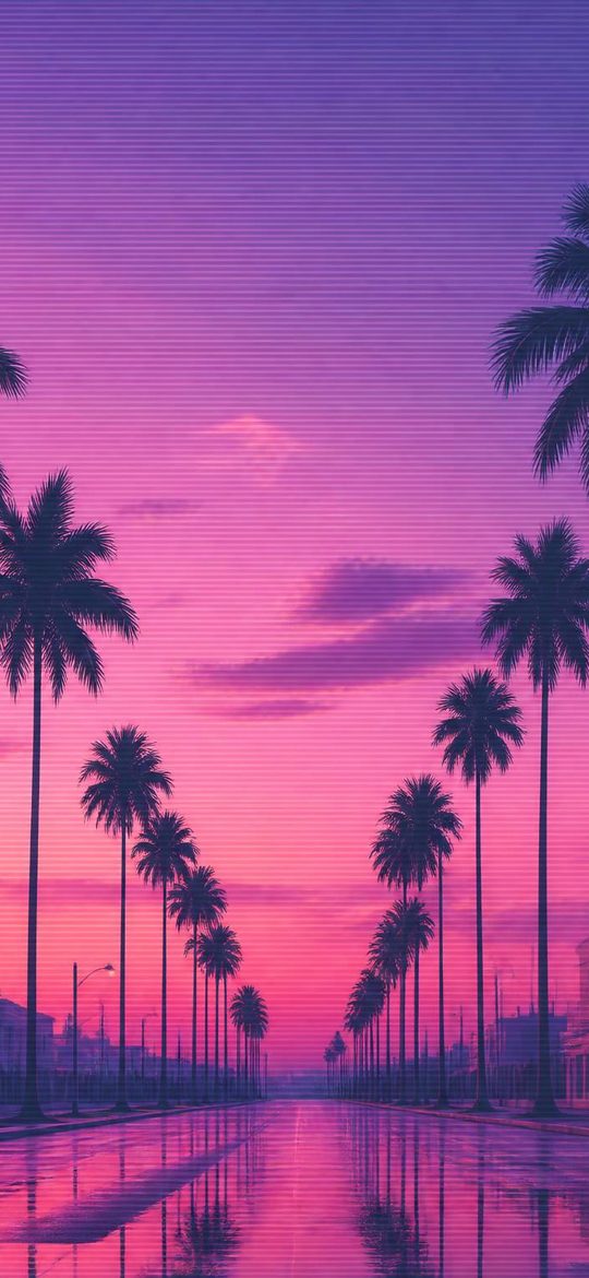 Palm Boulevard — phone wallpaper